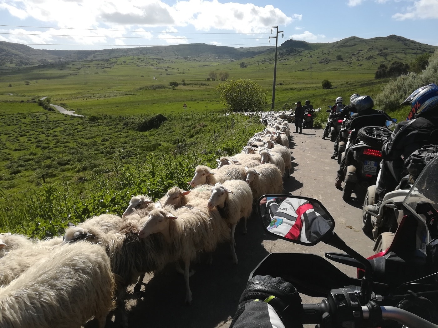sardegna-gran-tour-moto-gregge-pecore